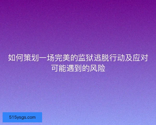 如何策划一场完美的监狱逃脱行动及应对可能遇到的风险