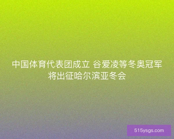 中国体育代表团成立 谷爱凌等冬奥冠军将出征哈尔滨亚冬会
